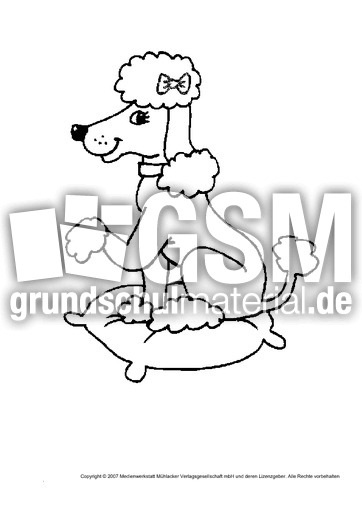 Pudel.pdf